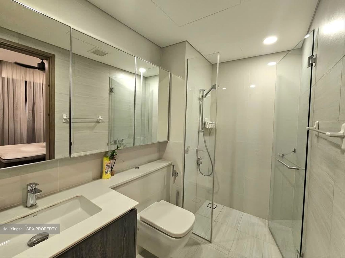 Lakeville (D22), Condominium #569125551